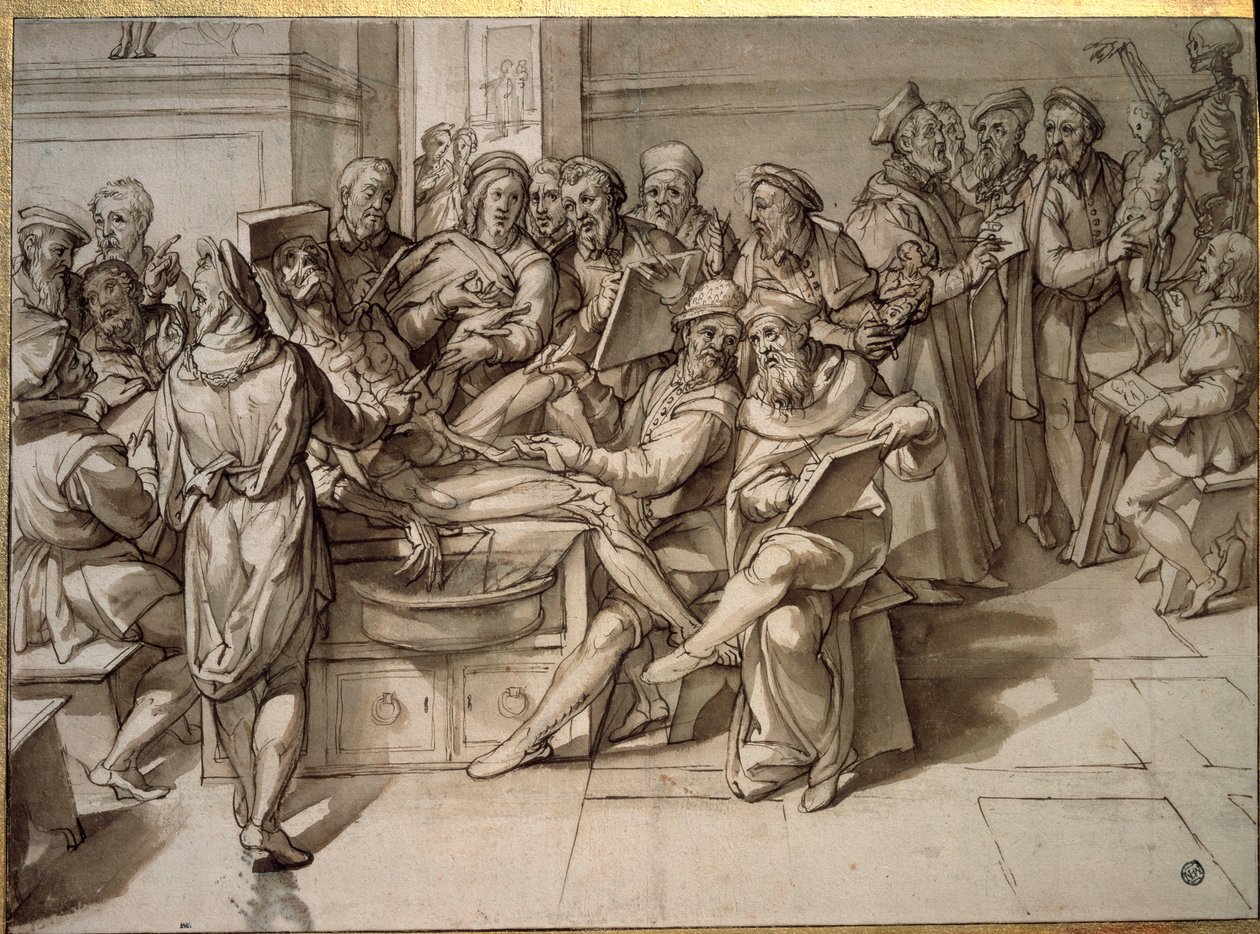 Anatomievorlesung von Michelangelo Buonarroti genannt Michelangelo von Bartolomeo Passarotti