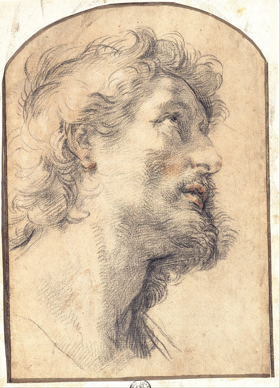 Studie des Kopfes von Sankt Crispin von Benedetto Luti