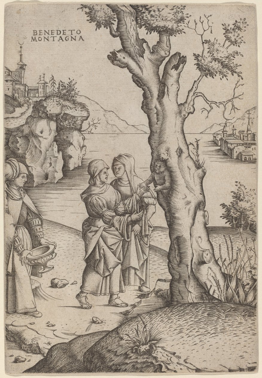Die Geburt des Adonis von Benedetto Montagna