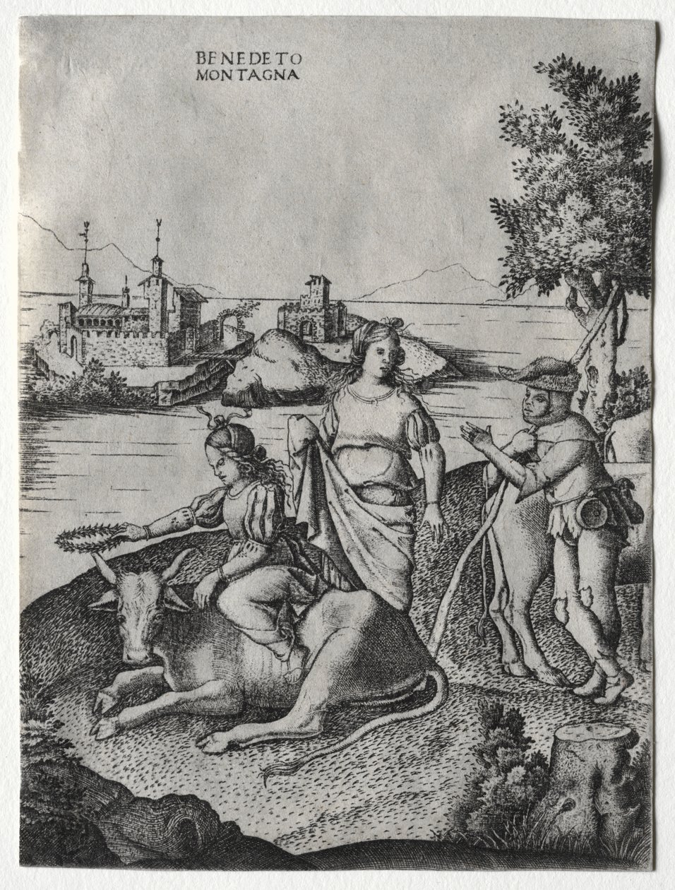 Raub der Europa von Benedetto Montagna