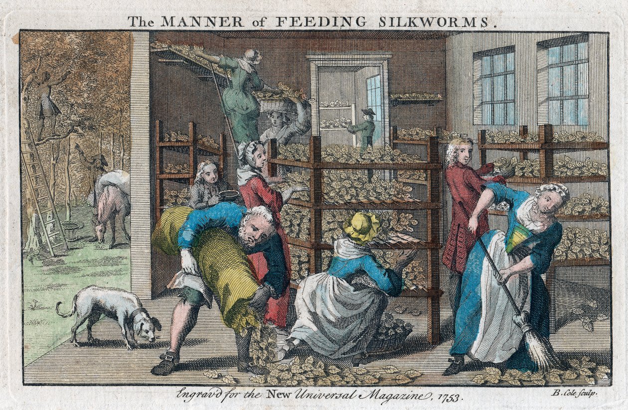 Die Art der Seidenraupenfütterung, 1753 von Benjamin Cole