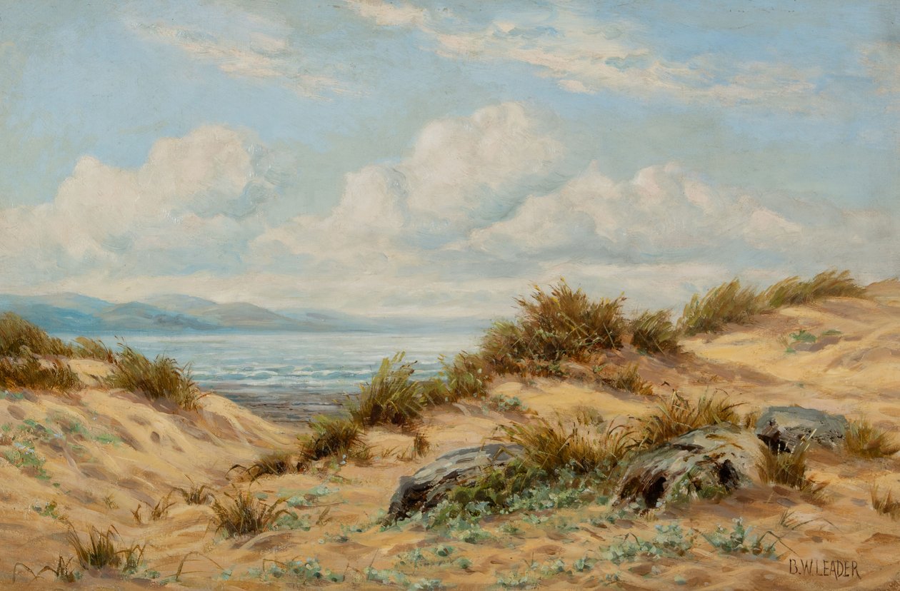 Sanddünen am Conwy von Benjamin Williams Leader