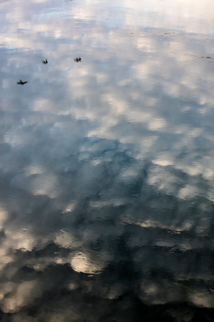 Reflexionen von Wolken und Vögeln auf der Oberfläche der Garonne in Toulouse von Bernard Bonnefon