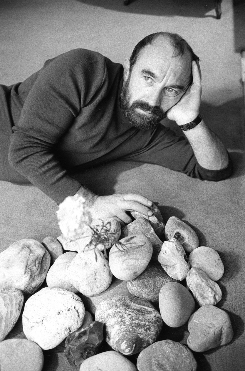 Bernard PARMEGIANI von Bernard Perrine