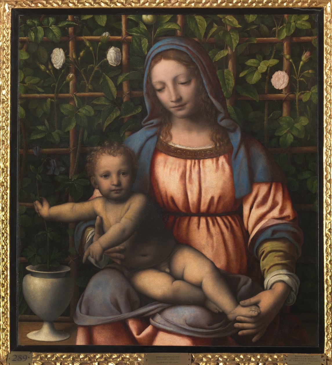 Madonna mit Kind (Madonna del Roseto) von Bernardino Luini