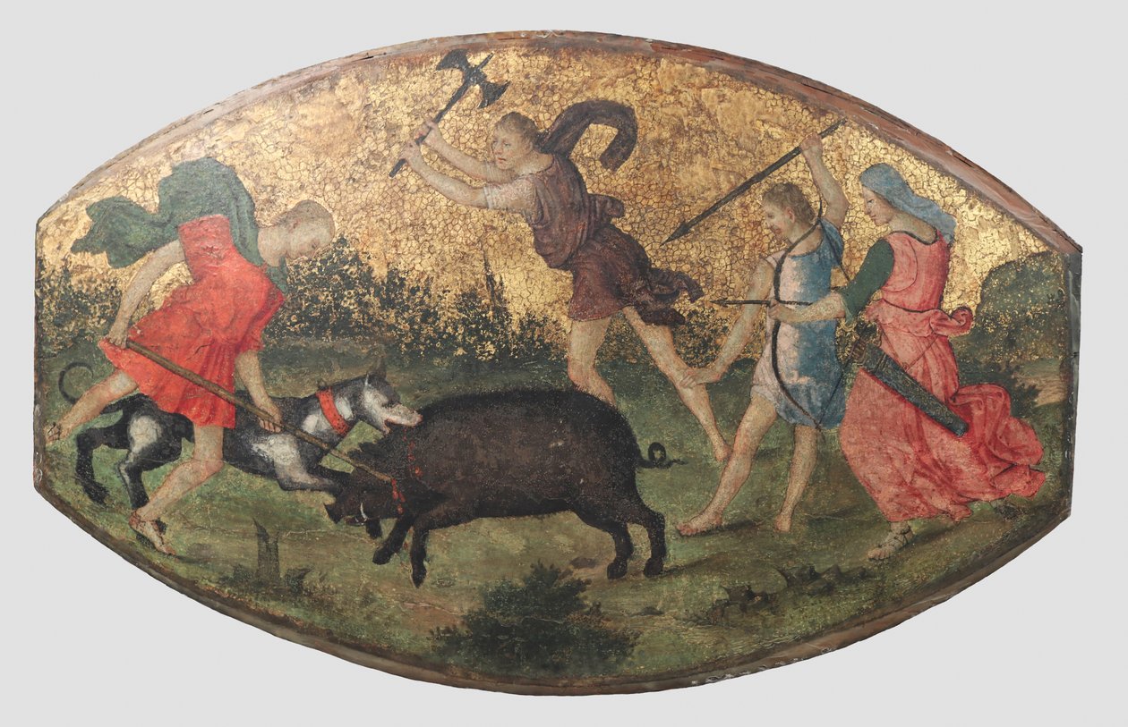 Jagd auf den kalydonischen Eber, ca. 1509 von Bernardino Pinturicchio