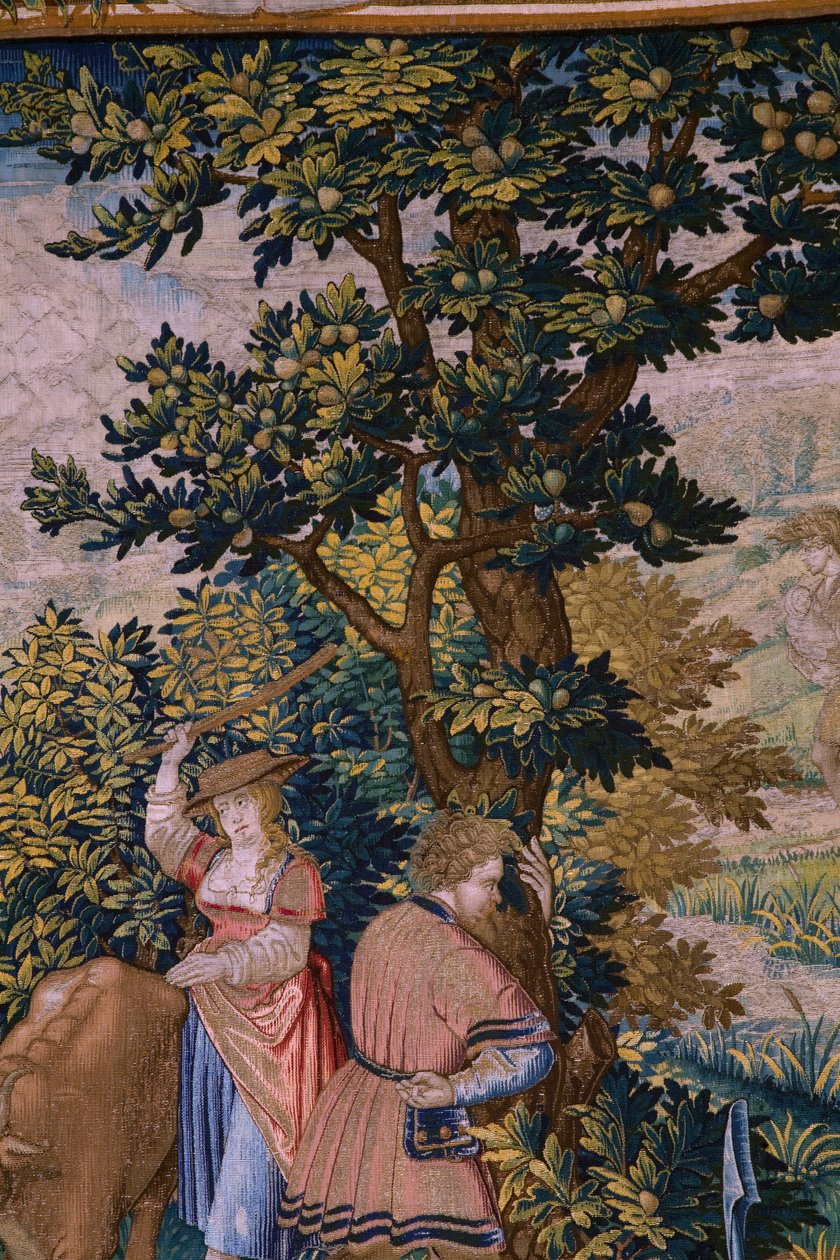 Flämischer Wandteppich. Serie Die Gründung Roms: Faustulus trifft Romulus und Remus. Zeichner Barend van Orley (?). Herstellung Brüssel. 1525-1530. (Detail) von Bernart van (attr. to) Orley