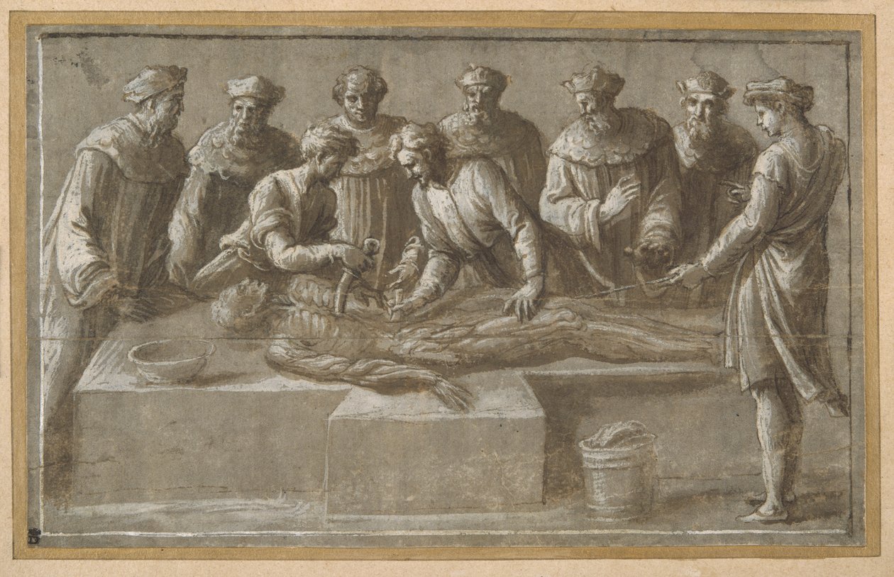 Sechs Anatomiaprofessoren, die eine gehäutete männliche Leiche sezieren (Feder & braune Tinte mit brauner Waschung und Aufhellung) von Biagio Pupini