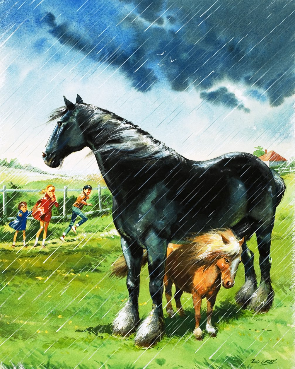 Fohlen sucht Schutz vor schlechtem Wetter unter einem anderen Pferd von Bill Lacey