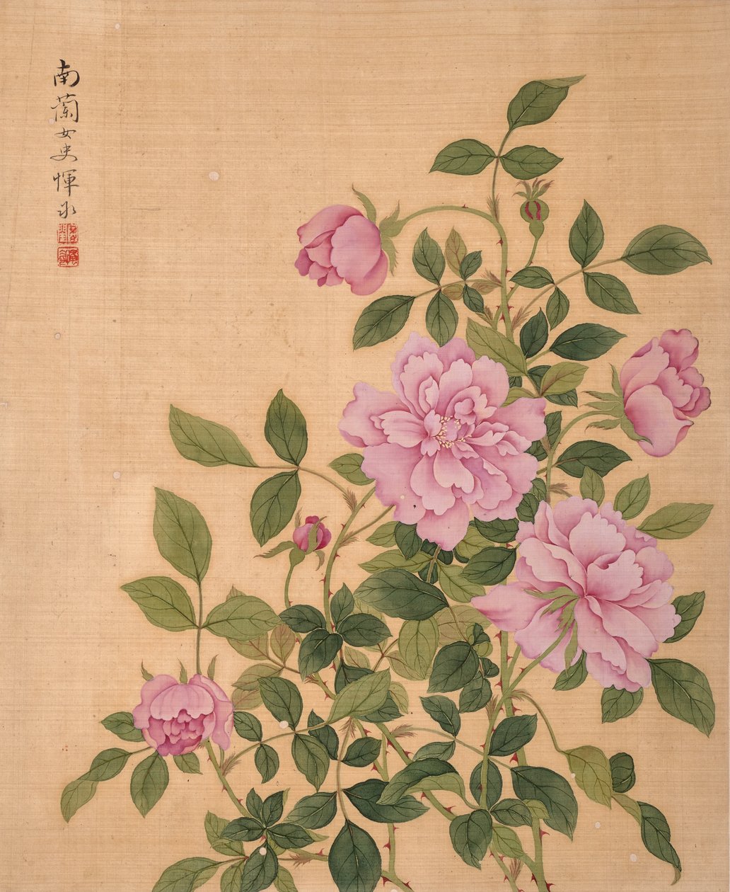 Rose aus dem Album der Blumen von Bing Yun