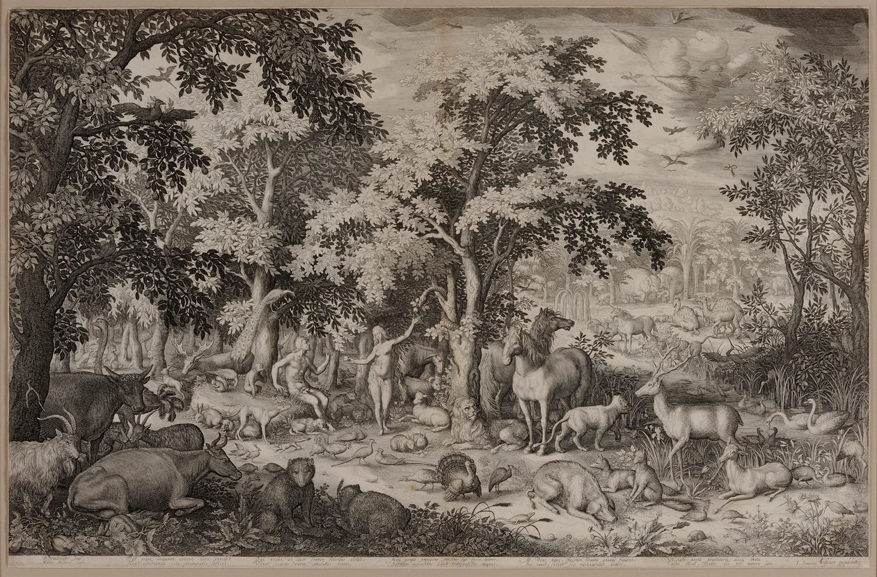 Adam und Eva im Garten Eden, umgeben von Bäumen und Wildtieren von Boetius Adams Bolswert
