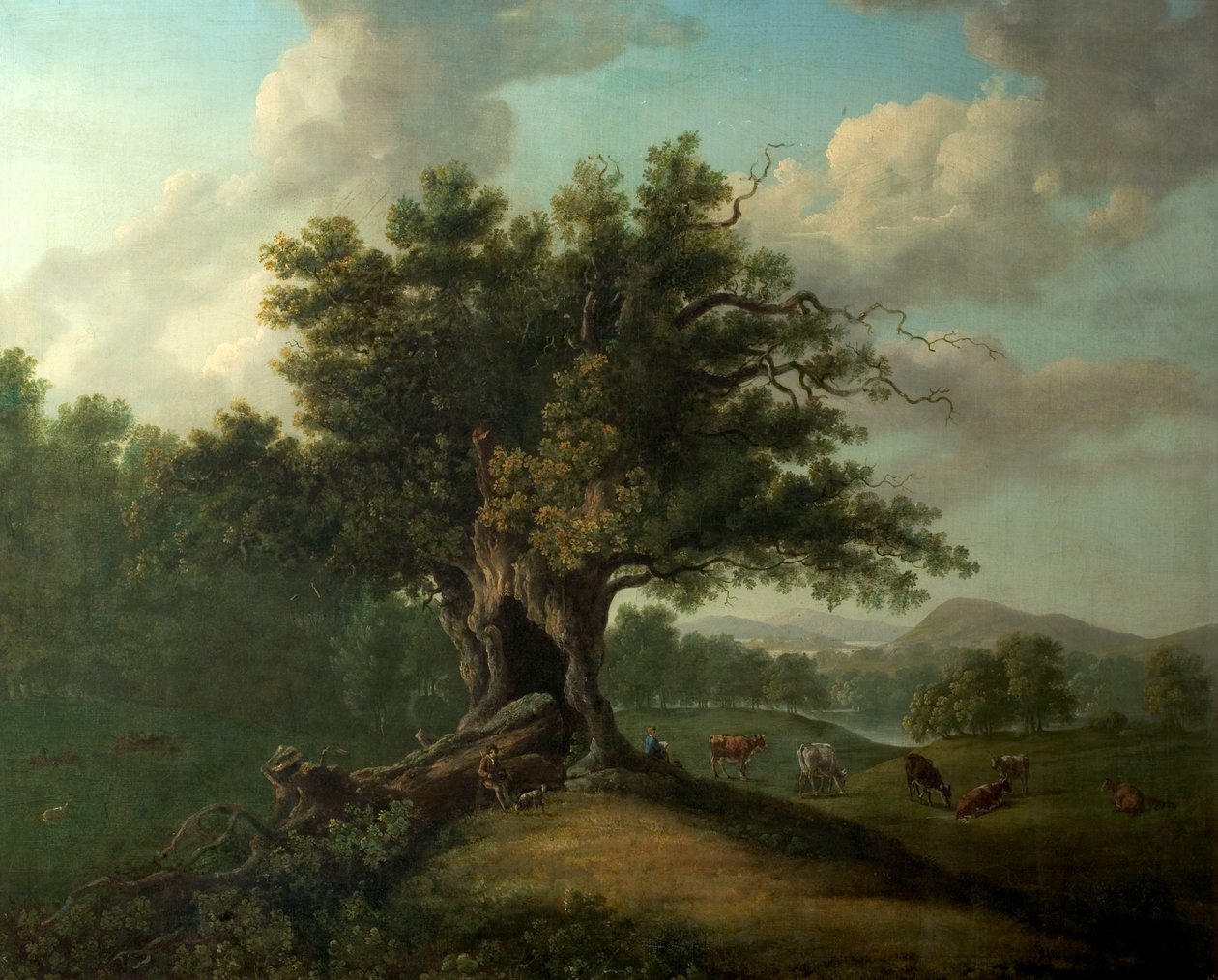Eine Eiche im Moccas Park, Herefordshire von British School
