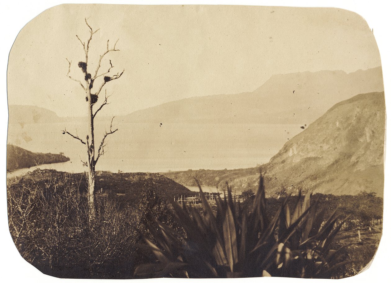 See und Mount Tarawera von Te Wairoa, 1860 von Bruno Hamel