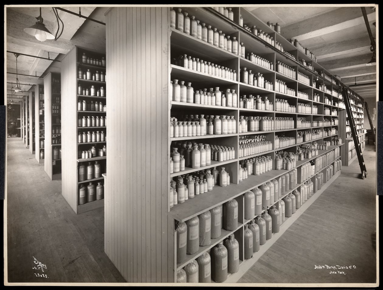 Innenansicht eines Chemikalienlagers bei Parke, Davis und Co., Chemiker, Hudson und Vestry Streets, New York, 1910 von Byron Company