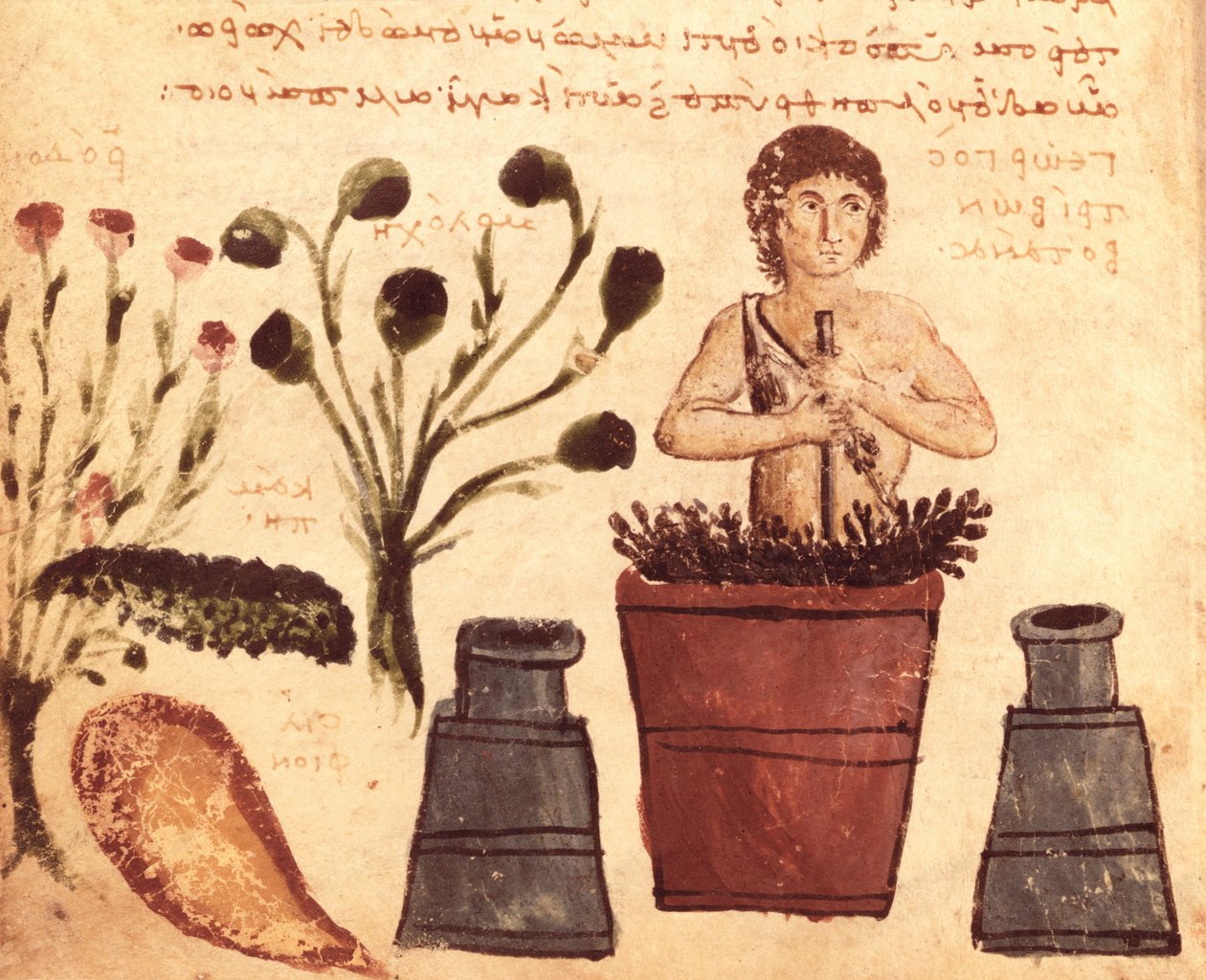 Ein Bauer bereitet eine Salbe gegen Schlangen vor, aus der Theriaca von Nicander von Kolophon (2. Jahrhundert v. Chr.) von Byzantine