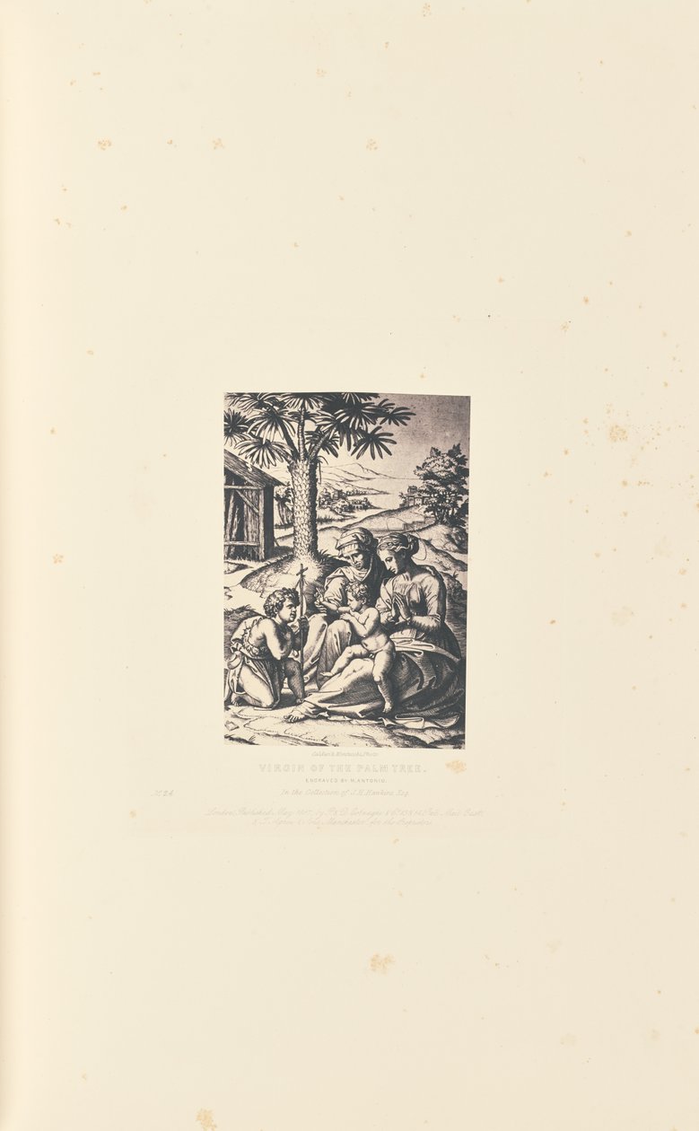 Jungfrau am Palmbaum, graviert von M. Antonio von Caldesi and Montecchi