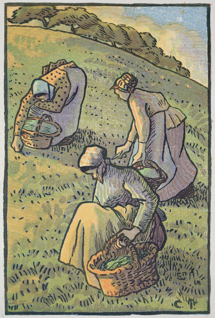 Frauen sammeln Pilze, aus 