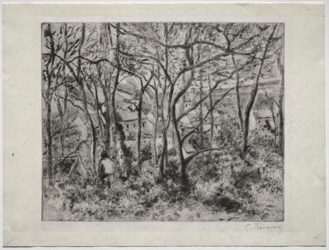 Waldlandschaft bei L