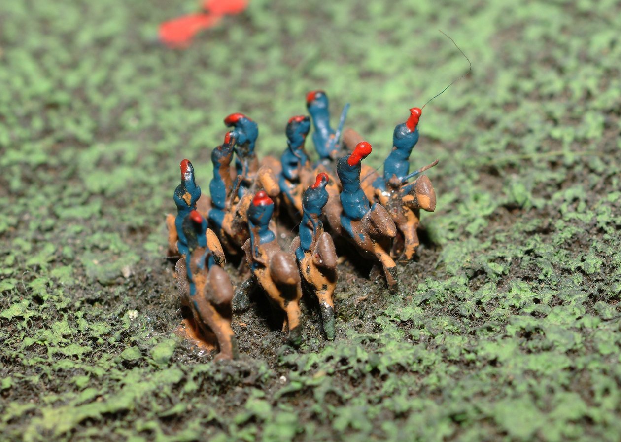 Diorama der Schlacht von Waterloo, das die Truppenpositionen um 19:45 Uhr am 18. Juni 1815 zeigt (Detail) von Capt. William Siborne