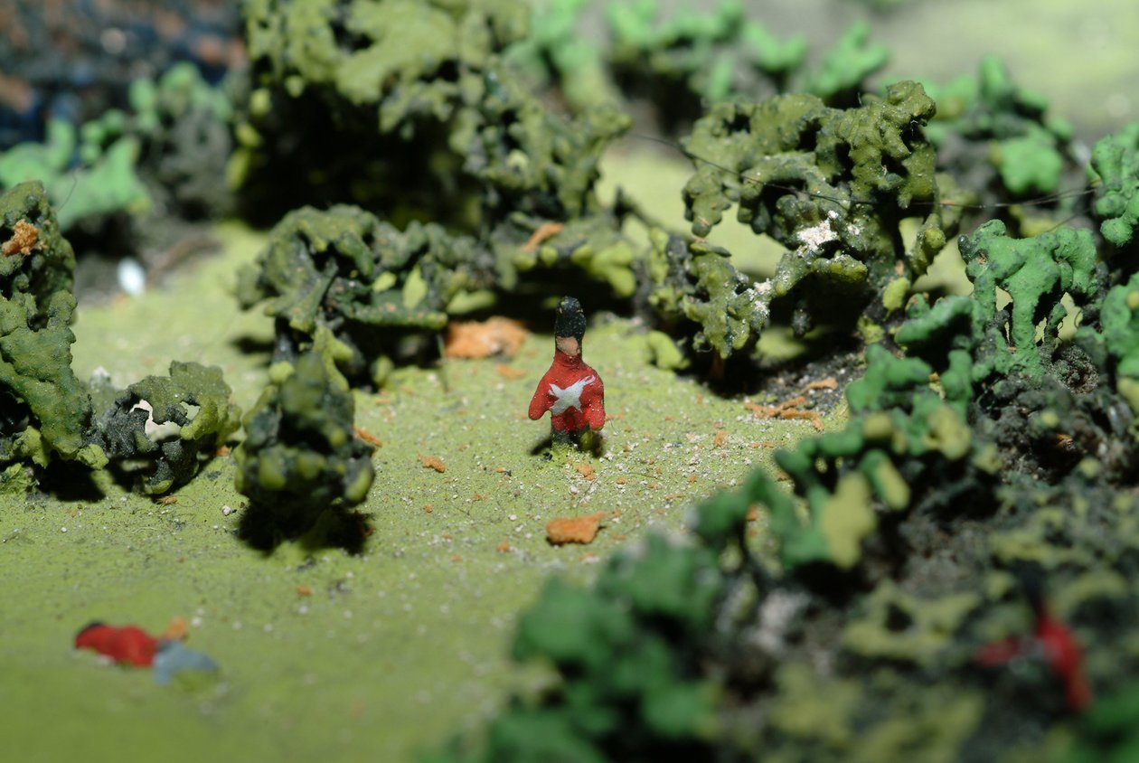Diorama der Schlacht von Waterloo, zeigt Truppenpositionen um 19:45 Uhr am 18. Juni 1815 (Detail) von Capt. William Siborne