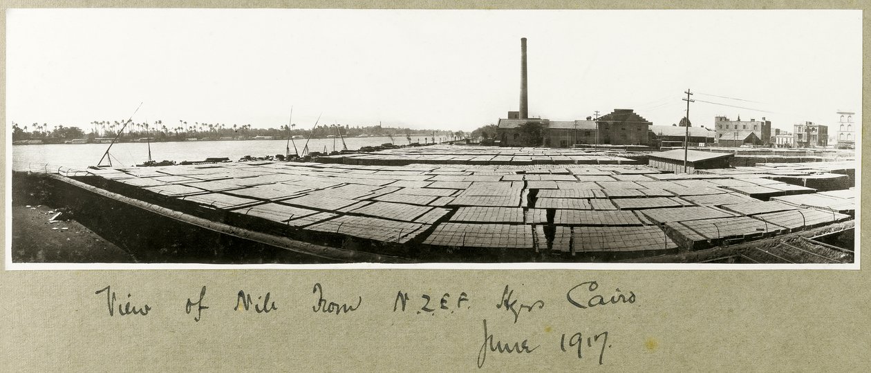 Blick auf den Nil vom N.Z.M.F.A. Hauptquartier, Kairo, Juni 1917 von Capt. Arthur Rhodes