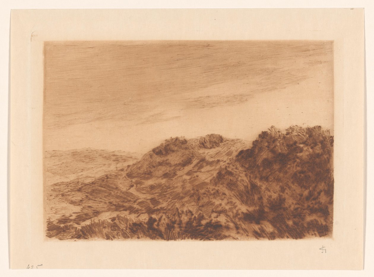 Dünenlandschaft bei Den Haag von Carel Nicolaas Storm van 
