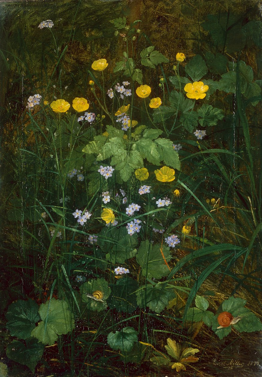 Butterblumen und Vergissmeinnicht auf einem Waldboden von Carl Henrik Koch Moller