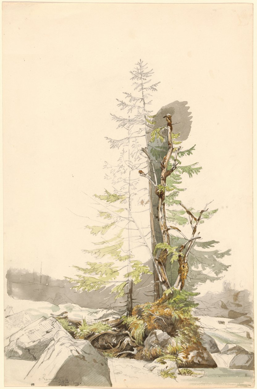 Eine Baumgruppe an einem felsigen Bach in der Ramsau von Carl Morgenstern