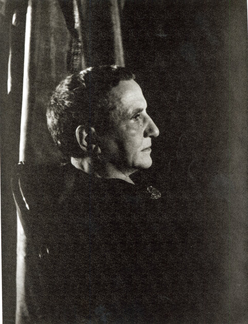 Gertrude Stein (1874-1946) 4. November 1934 von Carl Van Vechten