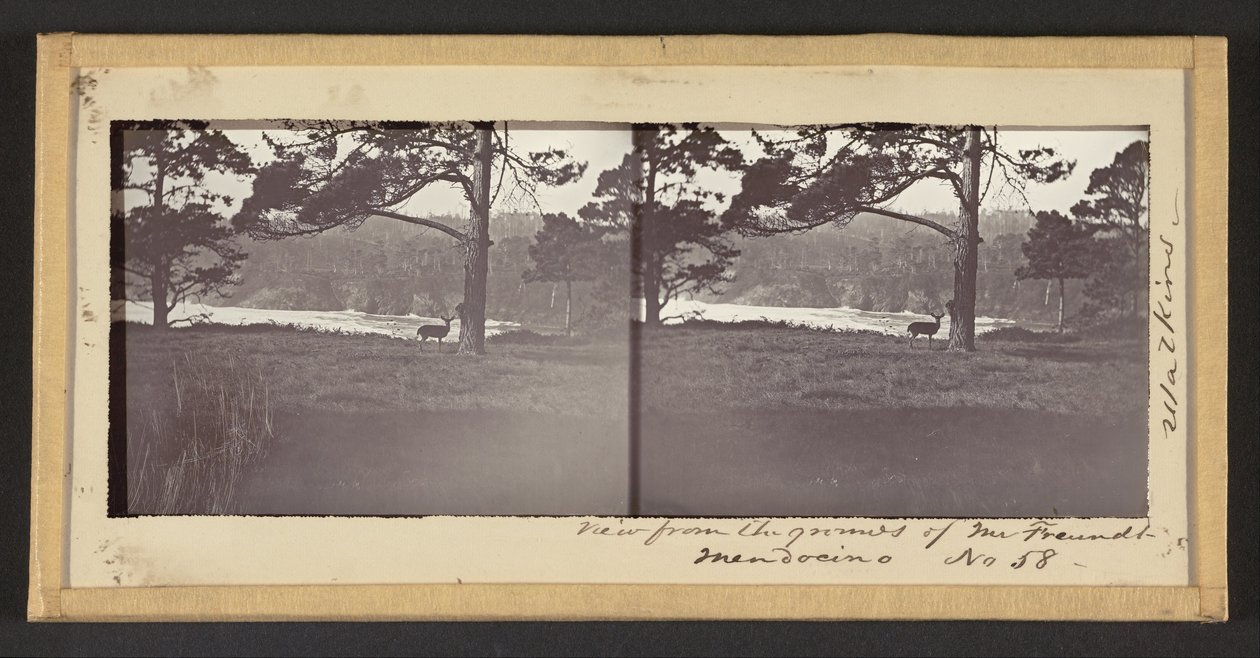 Blick von den Grundstücken von Herrn Freundt, Mendocino von Carleton E. Watkins