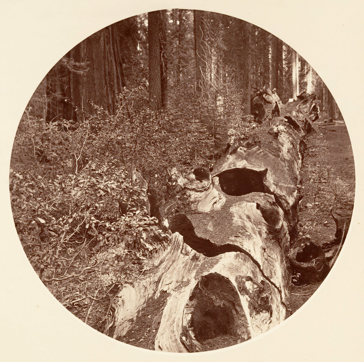 Auld Reckie - C. Grove von Carleton Emmons Watkins