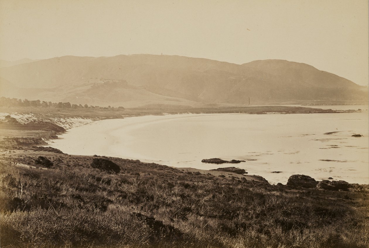 [Küstenansicht, Monterey] von Carleton Watkins