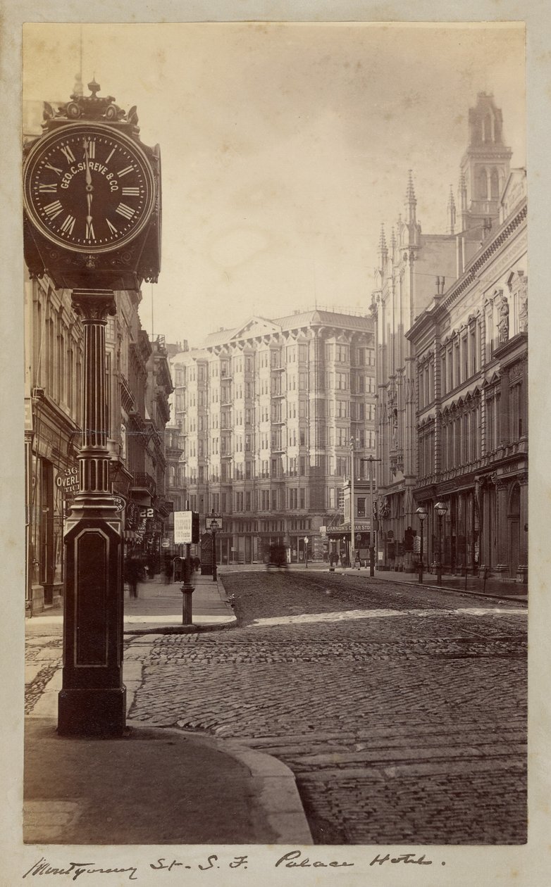 Palace Hotel, Montgomery Street, San Francisco von Carleton Watkins