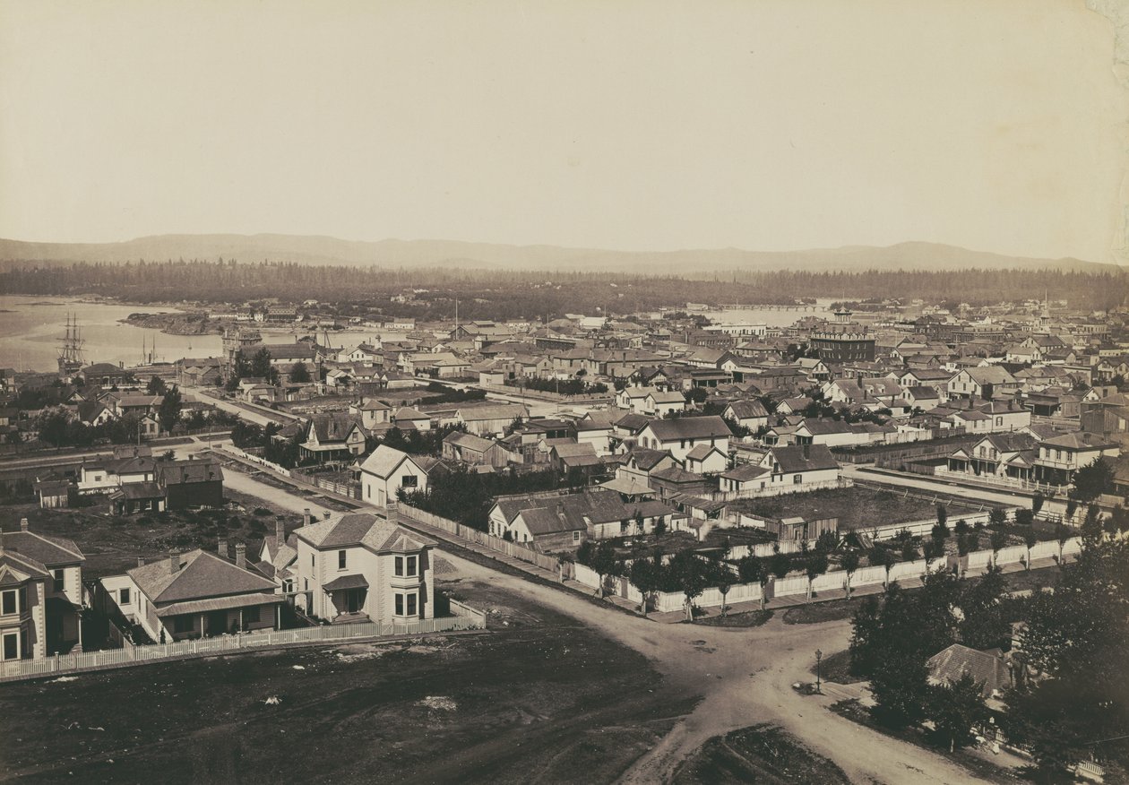 [Panorama von Victoria, British Columbia - Blick von der Christ Church Nr. 2] von Carleton Watkins