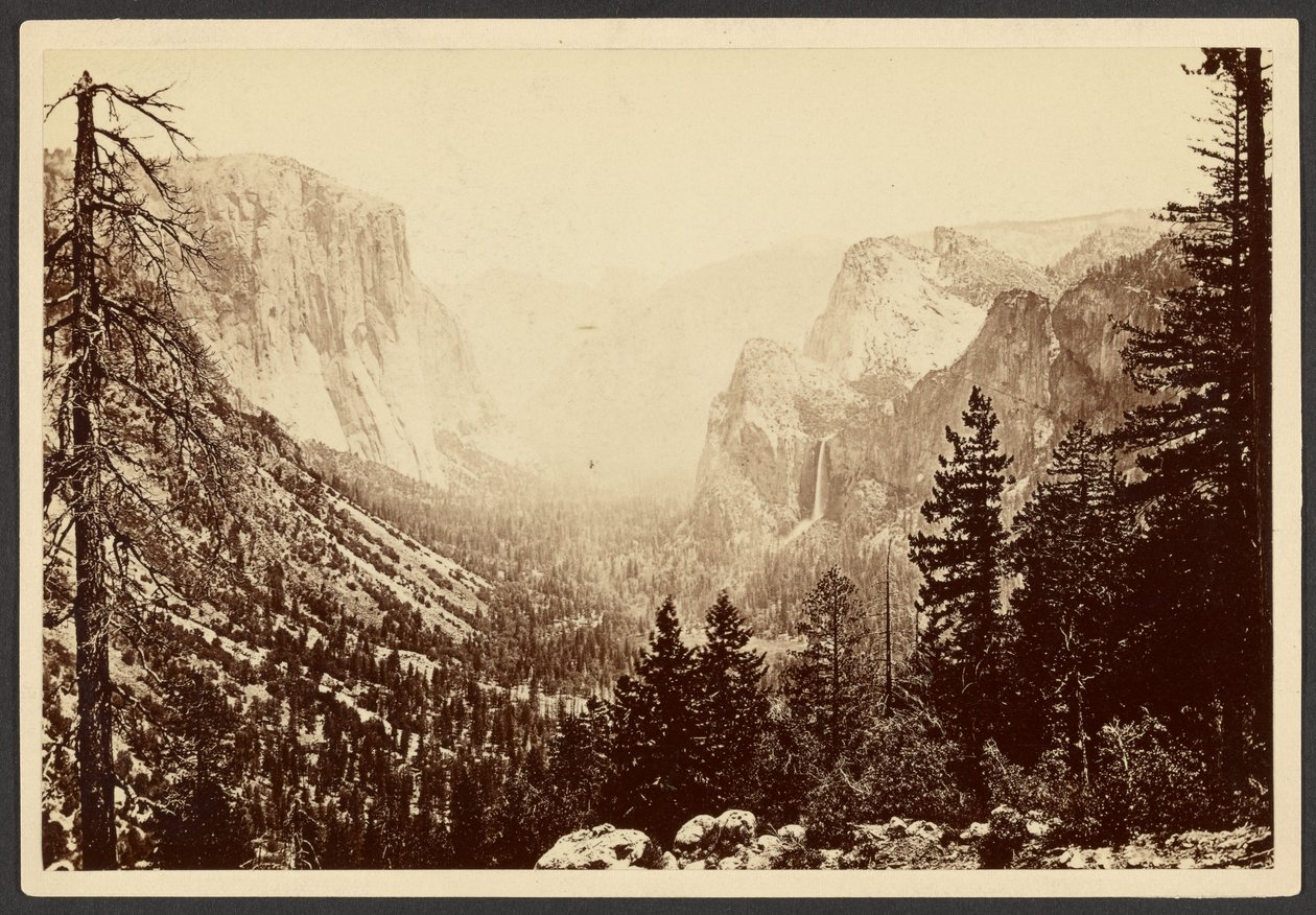 [Das Yosemite vom Inspiration Point] von Carleton Watkins