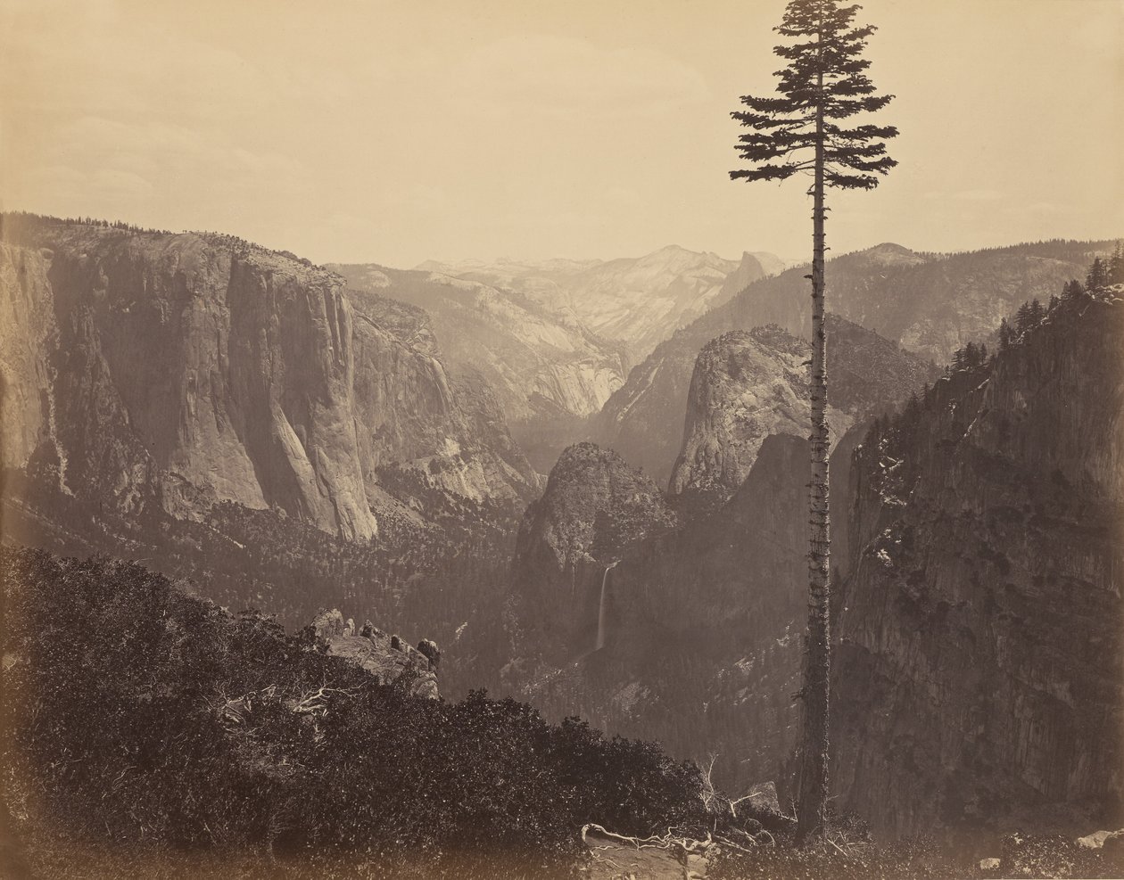 [Yosemite-Tal aus der besten allgemeinen Sicht] von Carleton Watkins