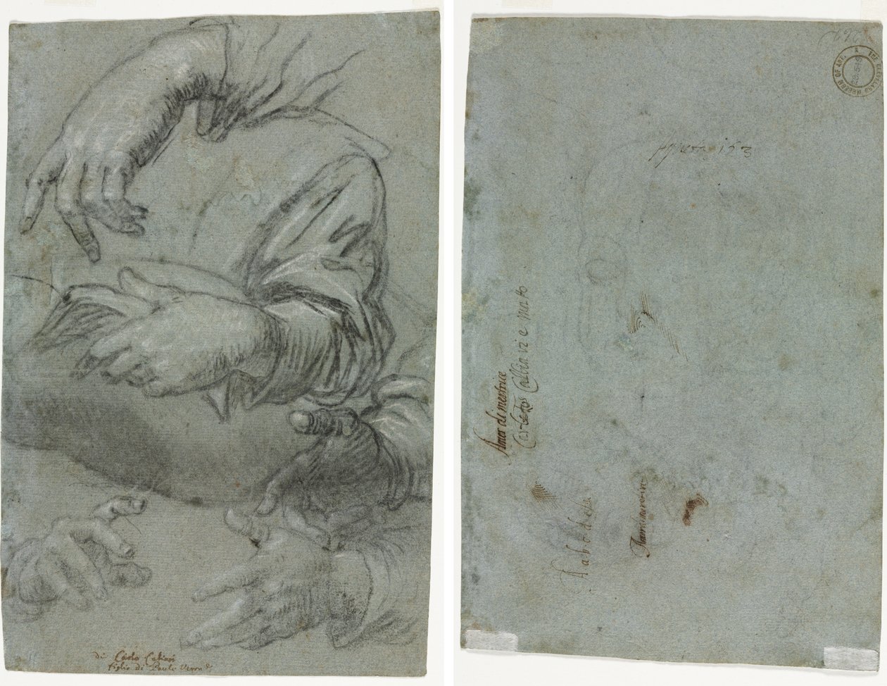Studien von Händen (recto); Skizze eines Kinderkopfes (verso) von Carletto Caliari