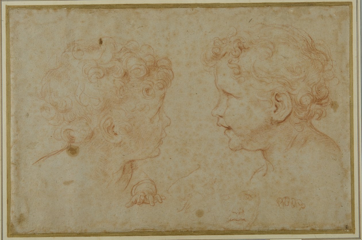 Studien des Kopfes und der linken Hand eines Putto von Carlo Maratti