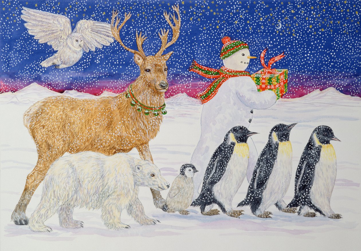 Ein Geschenk für den Weihnachtsmann von Catherine Bradbury