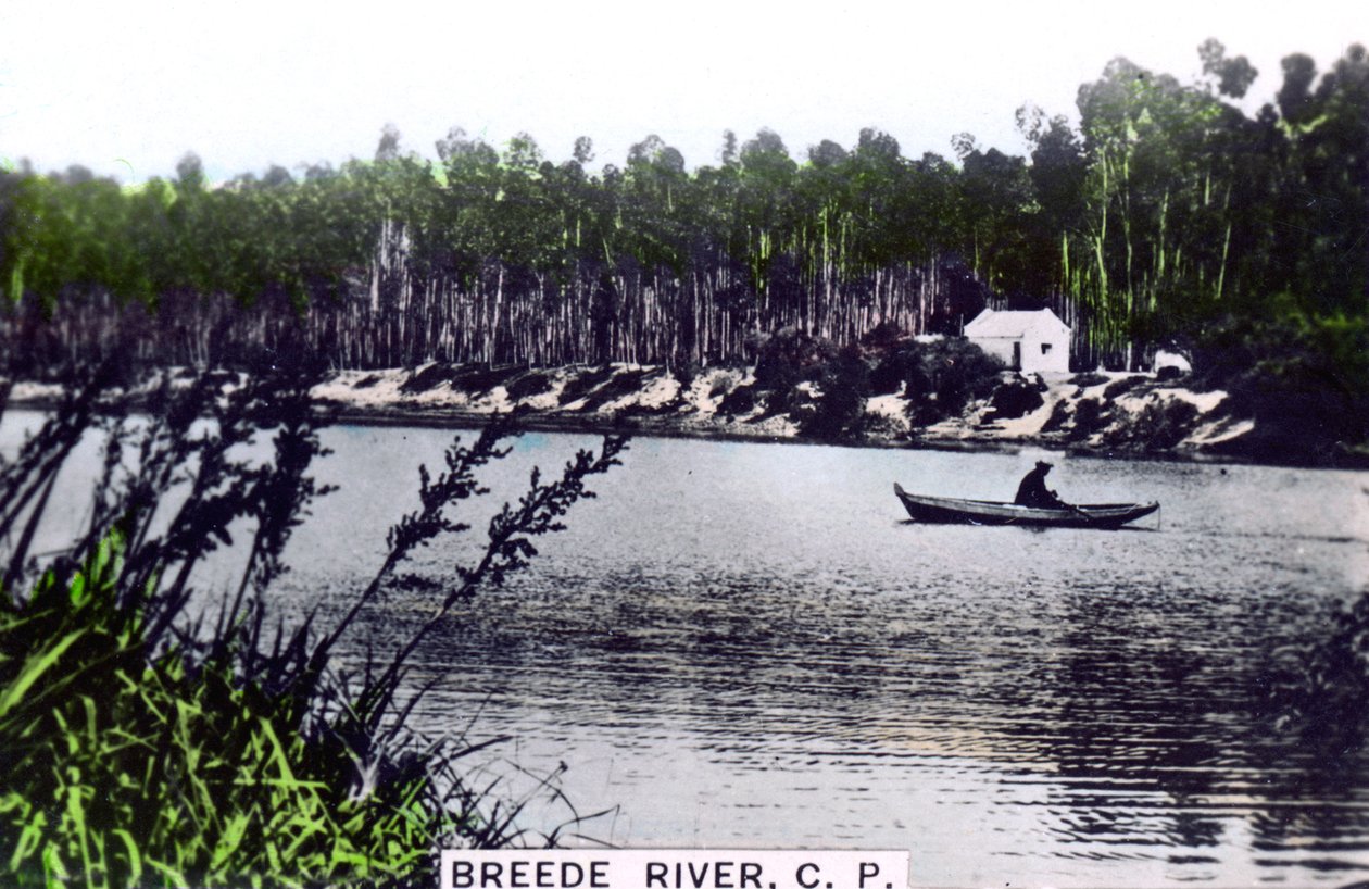 Breede Breë River, Westprovinz, Südafrika, um 1920er Jahre von Cavenders Ltd