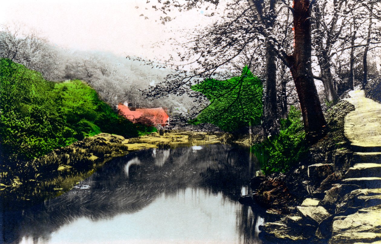 Jesmond Dene, Newcastle-upon-Tyne, Tyne & Wear, 1926 von Cavenders Ltd