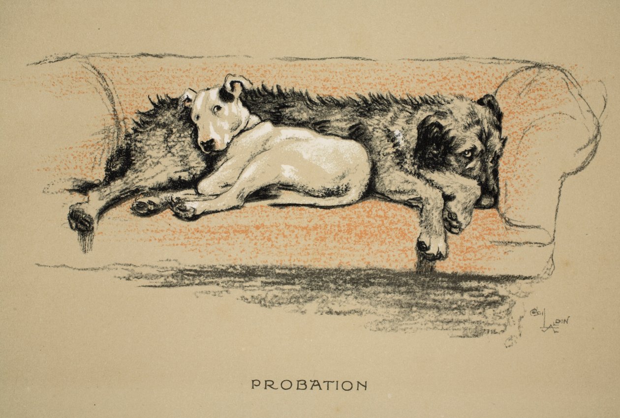 Bewährung, 1930, 1. Ausgabe von 