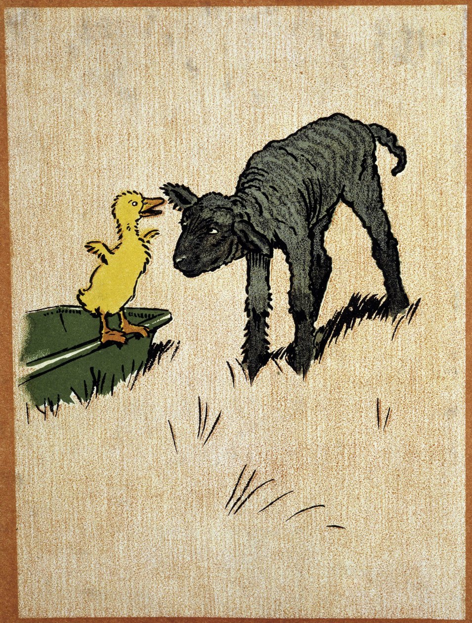 Schwarzes Lamm und Entenküken - Zeichnung von Aldin von Cecil Charles Windsor Aldin