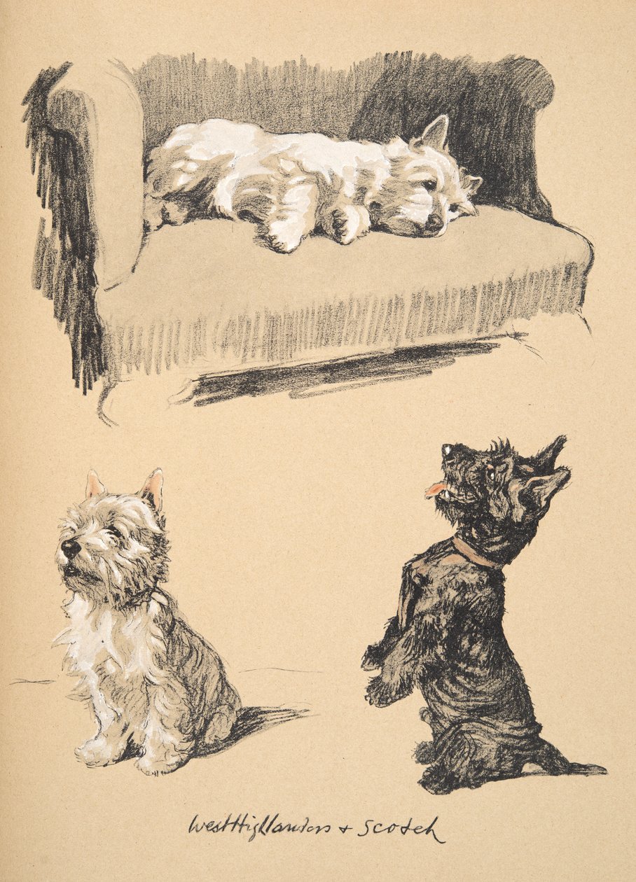 West Highlanders und Scotch, 1930, Illustrationen aus seinem Skizzenbuch verwendet für Just Among Friends, später veröffentlicht von Eyre und Spottiswoode Limited, 1934 von Cecil Charles Windsor Aldin