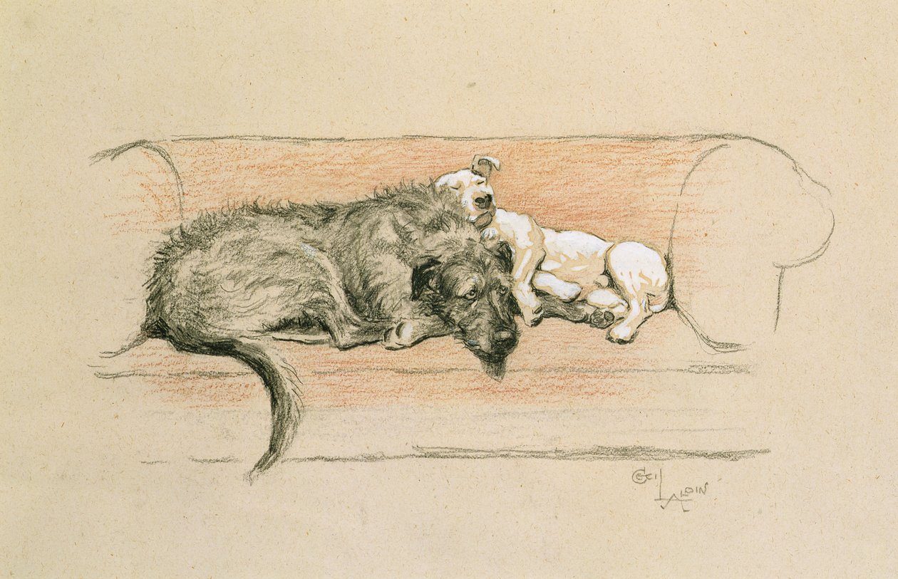 Wolfshund und Bullterrier schlafen auf einem Sofa von Cecil Charles Windsor Aldin