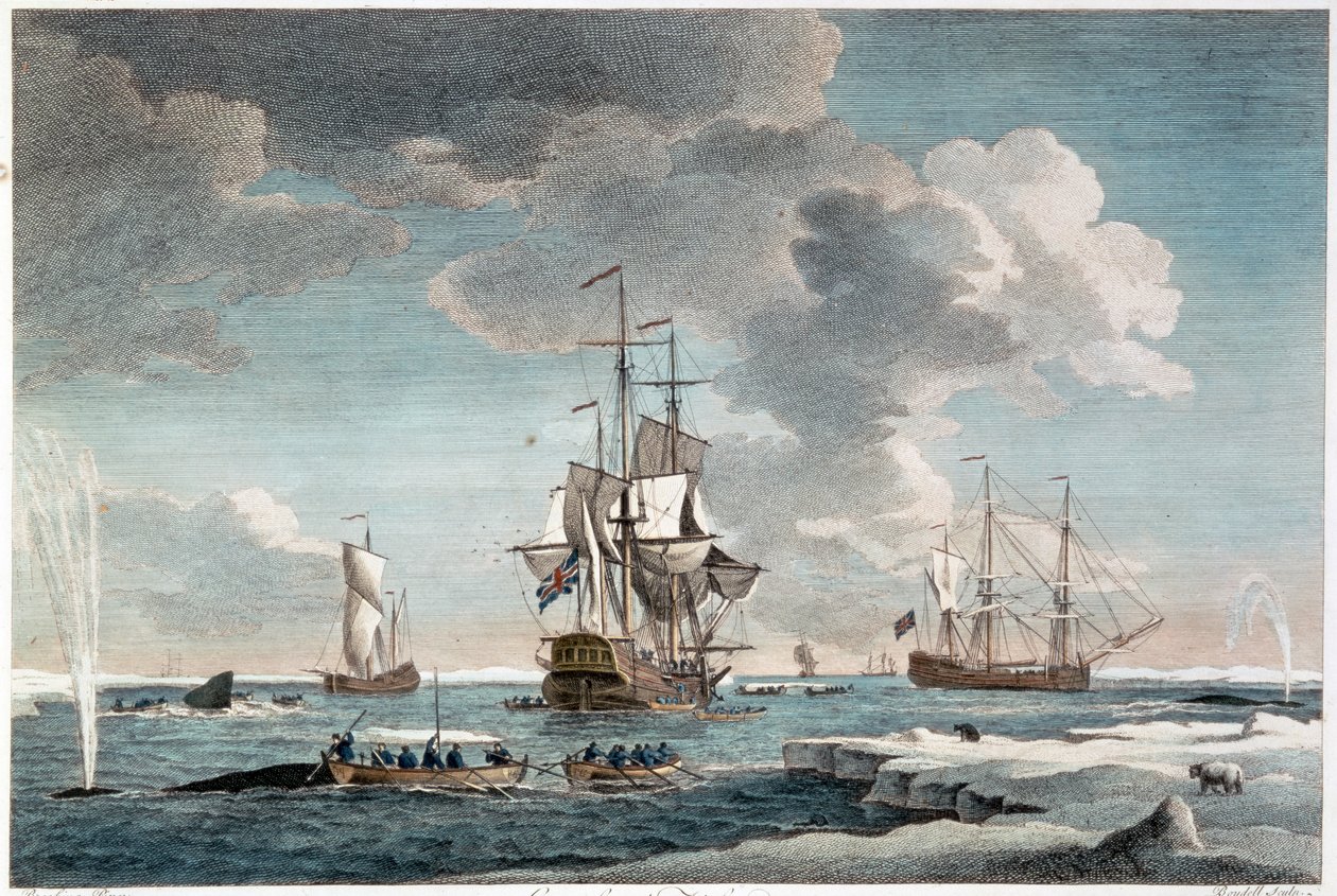 Grönland-Fischerei, graviert von John Boydell (1719-1804) 1754 von Charles (after) Brooking