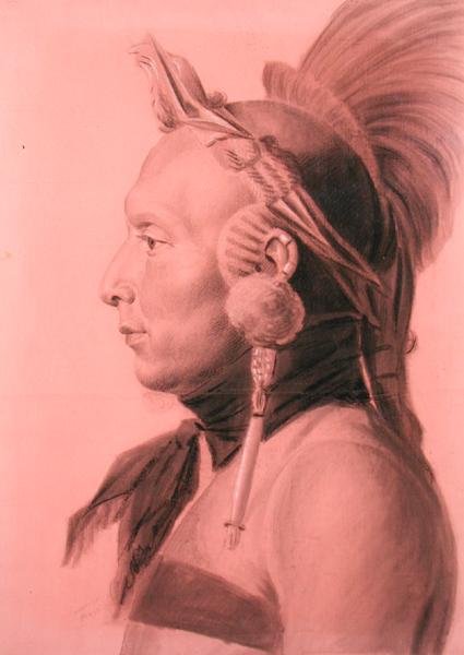 Porträt eines Indianers, möglicherweise Shahaka, Mandan-Häuptling von Charles Balthazar Julien Févret de Saint Mémin