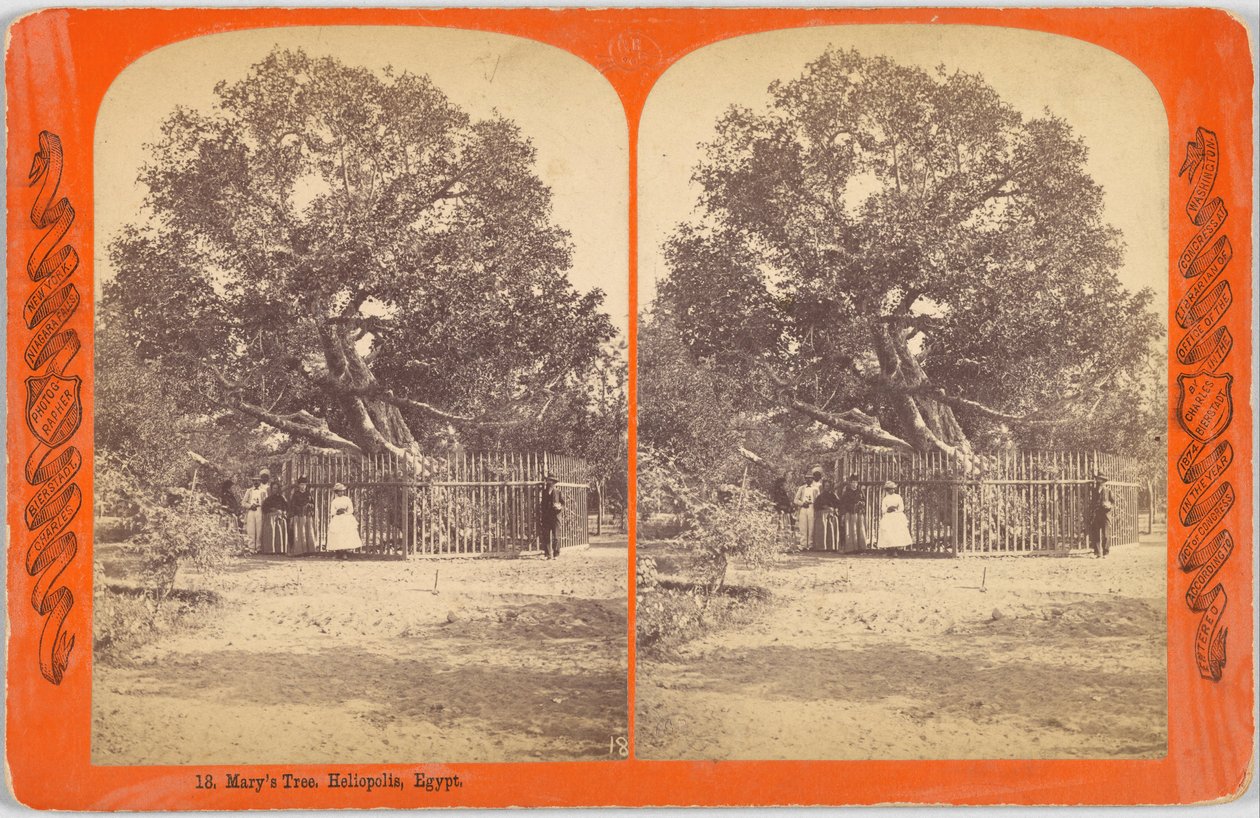Marias Baum. Heliopolis, Ägypten von Charles Bierstadt