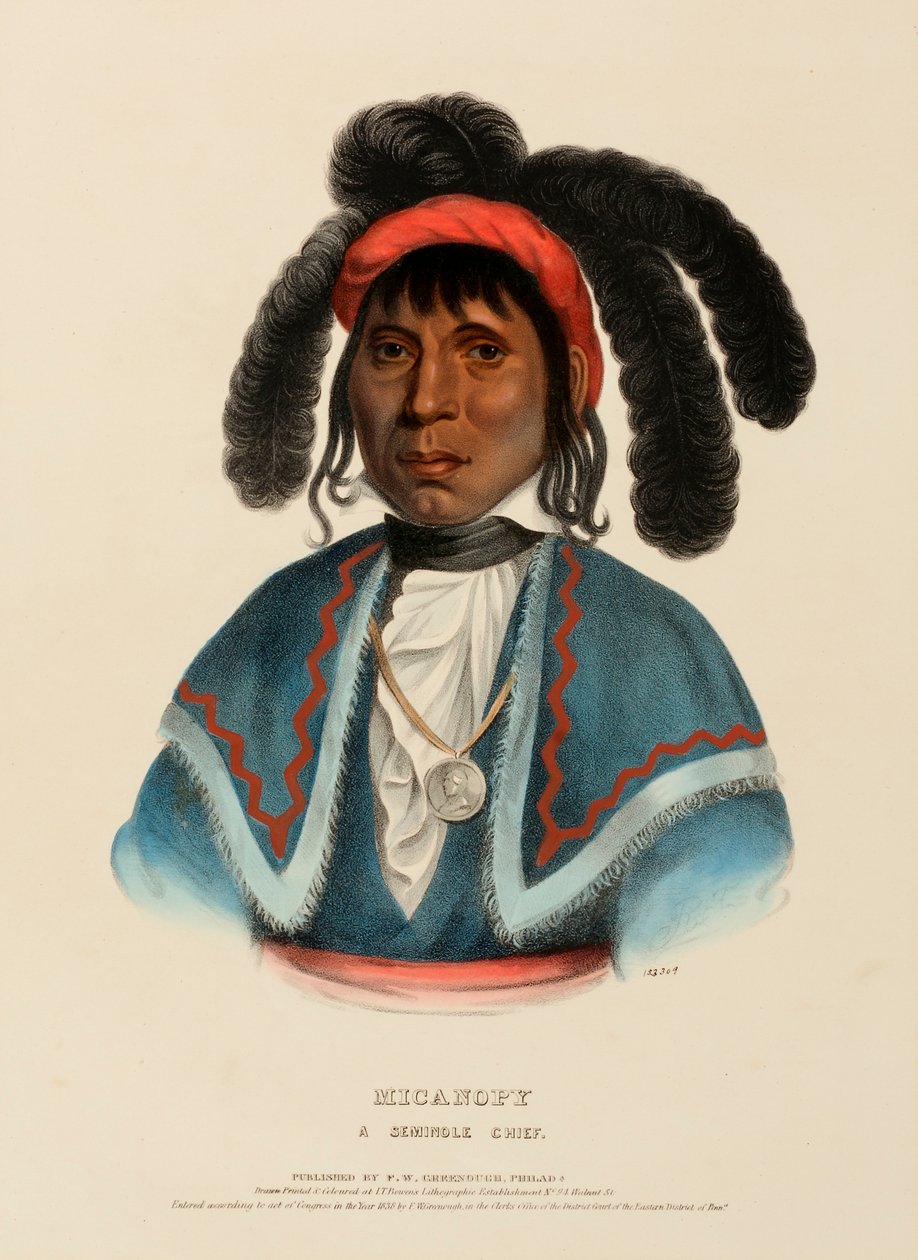 MICANOPY. EIN SEMINOLE-HÄUPTLING., aus Geschichte der Indianerstämme Nordamerikas von Charles Bird King