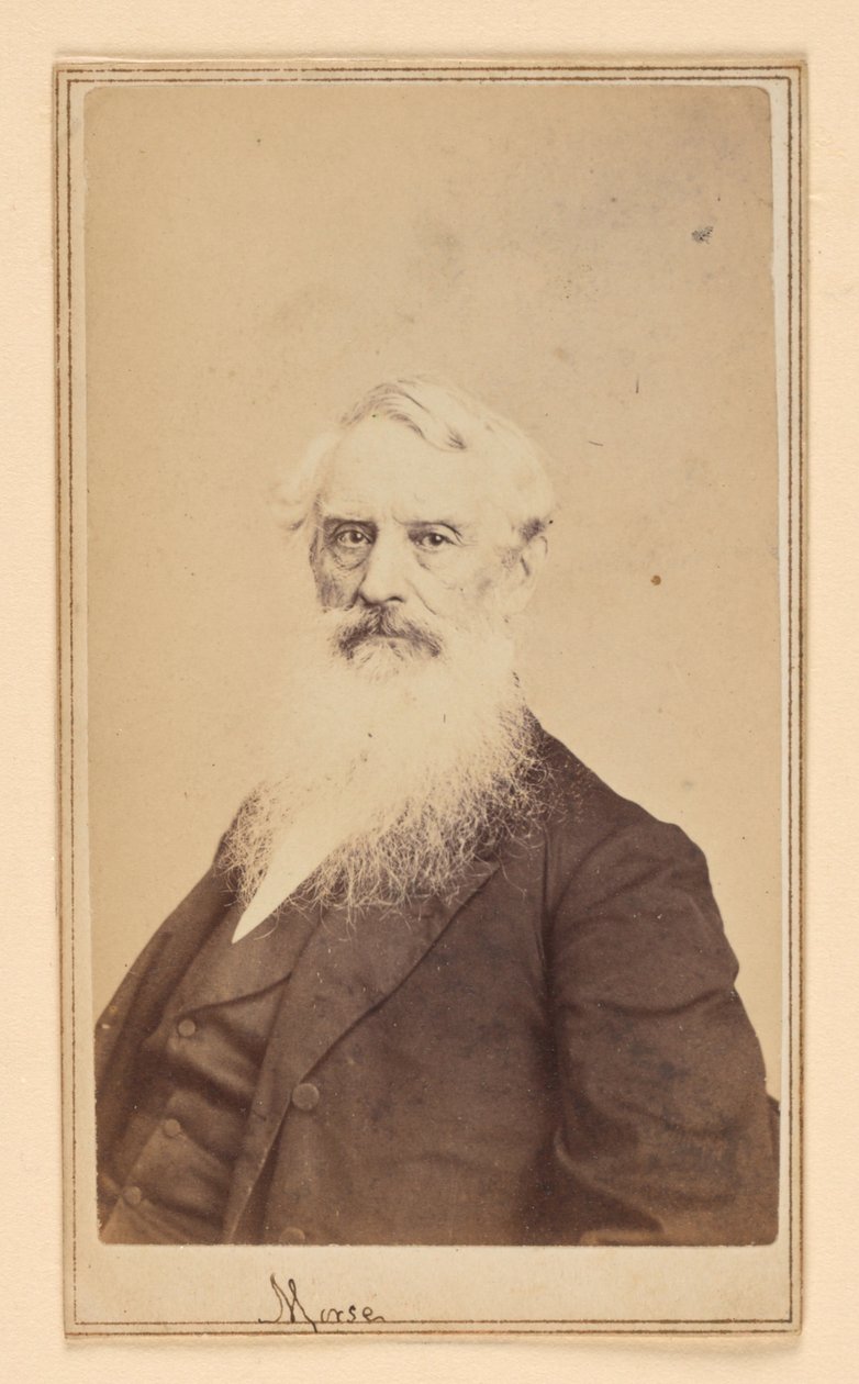 Samuel F. B. Morse von Charles DeForest Fredricks
